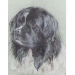 Marjorie Turner. Portrait of a dog, pastel, artist studio stamp, 48cm x 38cm
