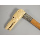 A Victorian malacca walking stick, with white metal collar, the ivory handle carved in the form of a