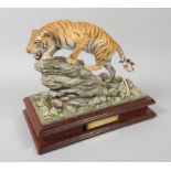 A model of a tiger, the 'Champawat Maneater', shot by Jim Corbett in 1907, commissioned from John