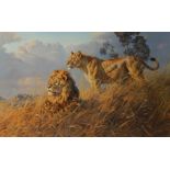 Donald Grant (1930-2001). African evening-lions, artist signed limited edition artist proof with