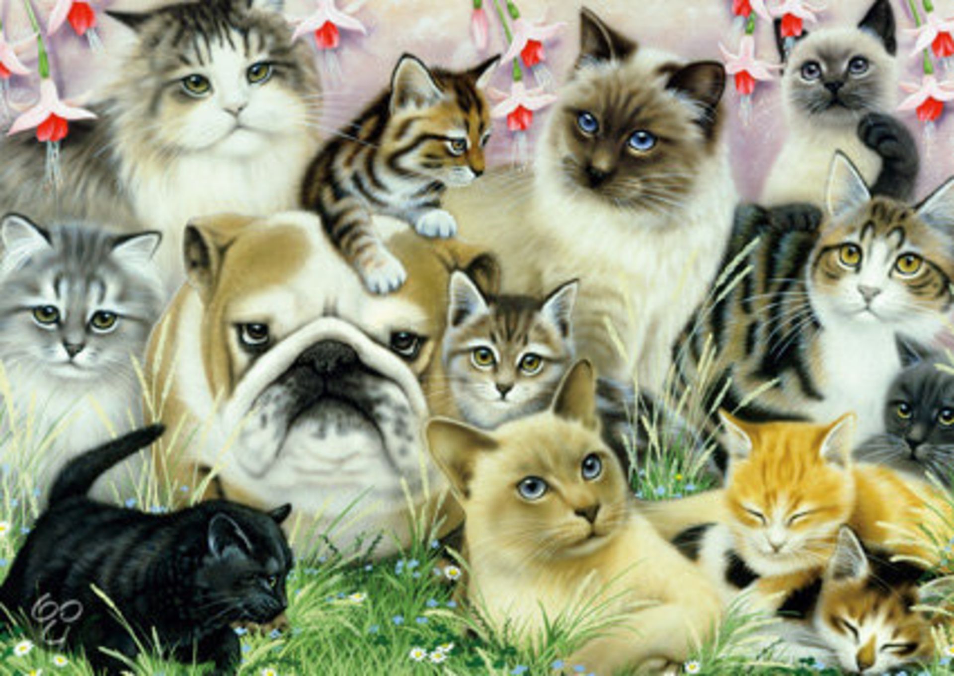 V *TRADE QTY* Brand New Jumbo 1000 Piece Jigsaw Puzzle - Cats & Dogs X 3 YOUR BID PRICE TO BE