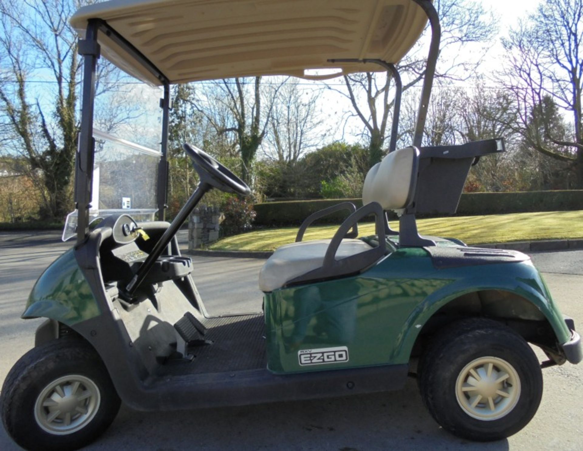 2012 E-Z-Go RXV Electric Golf Cart - Image 2 of 8