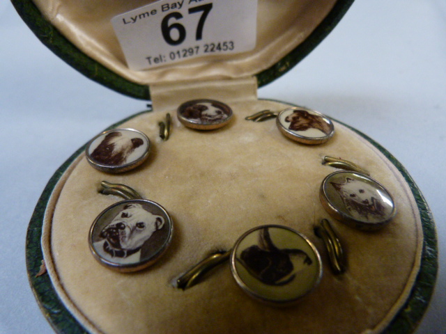 A Set of six cased buttons with dogs on