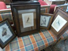 A quantity of framed prints of birds
