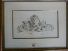 Framed Ltd Edition David Shepherd print ( 279/495) "Lions" with certificate