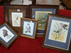 A quantity of framed prints of birds