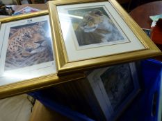 A large quantity of Stephen Gayford signed Ltd. edition prints of wildlife