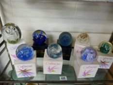 8 boxed Caithness paperweights