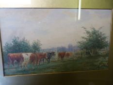 Watercolour of cattle by J Macpherson "Changing pastures"