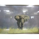 A Signed David Shephard print - Elephant