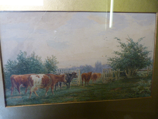 Watercolour of cattle by J Macpherson "Changing pastures" - Image 2 of 3