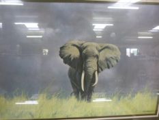 A David Shephard print - Elephant