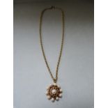A 9ct Gold pendant set with seed pearls and Garnet stones on a 9ct chain - total weight 8.7g