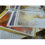 A quantity of Salvador Dali prints