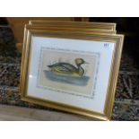A set of four framed duck prints