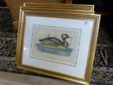 A set of four framed duck prints