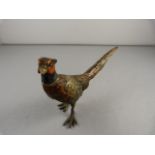 A Cold painted bronze of a pheasant