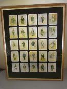 Framed collection of 25 Copes Bros & Co, Dickens Gallery cigarette cards