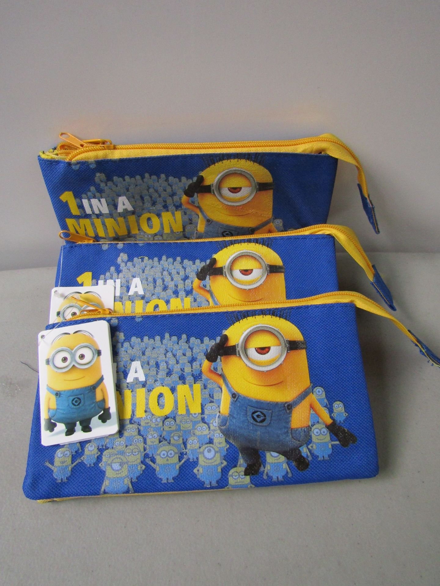 5x Despicable Me Multi Pocket Pencil Cases.