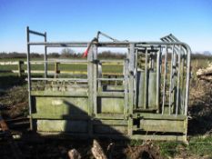 Pentrite Livestock Systems galvanised cattle crush