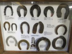 Display case containing a rare collection of horse, donkey, mule and ox shoes from Saxon age