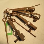 4 x 2½ins gin traps - used early last century at Strawberry Farm, Bisley, Surrey