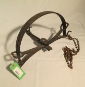 Very large double spring body-hold gin trap with 20ins jaws