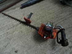 Castor petrol hedge cutter