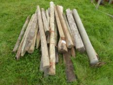 Qty of fencing posts