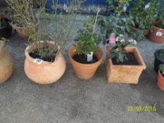 1 jug plant pot and 2 other pots