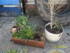 4 plants pots