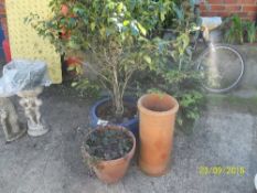 3 plant pots and chimney pot