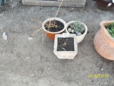 3 plant pots