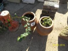 2 plant pots