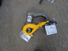Lifting hook and D shackle