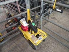 Petrol turf cutter