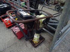 Ammann petrol rammer