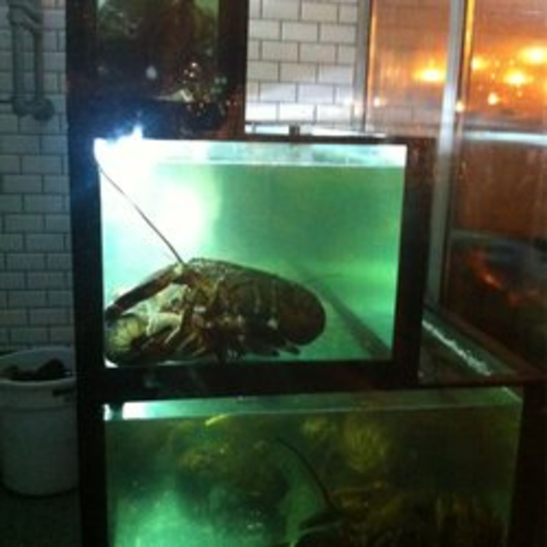 1 x Custom Made 3 Tier Fish Tank - Large Capacity Tank Previously Used For Lobsters by an Upmarket - Image 4 of 13