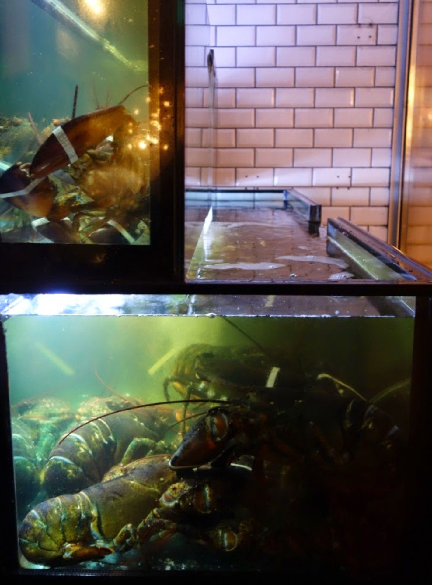 1 x Custom Made 3 Tier Fish Tank - Large Capacity Tank Previously Used For Lobsters by an Upmarket - Image 3 of 13