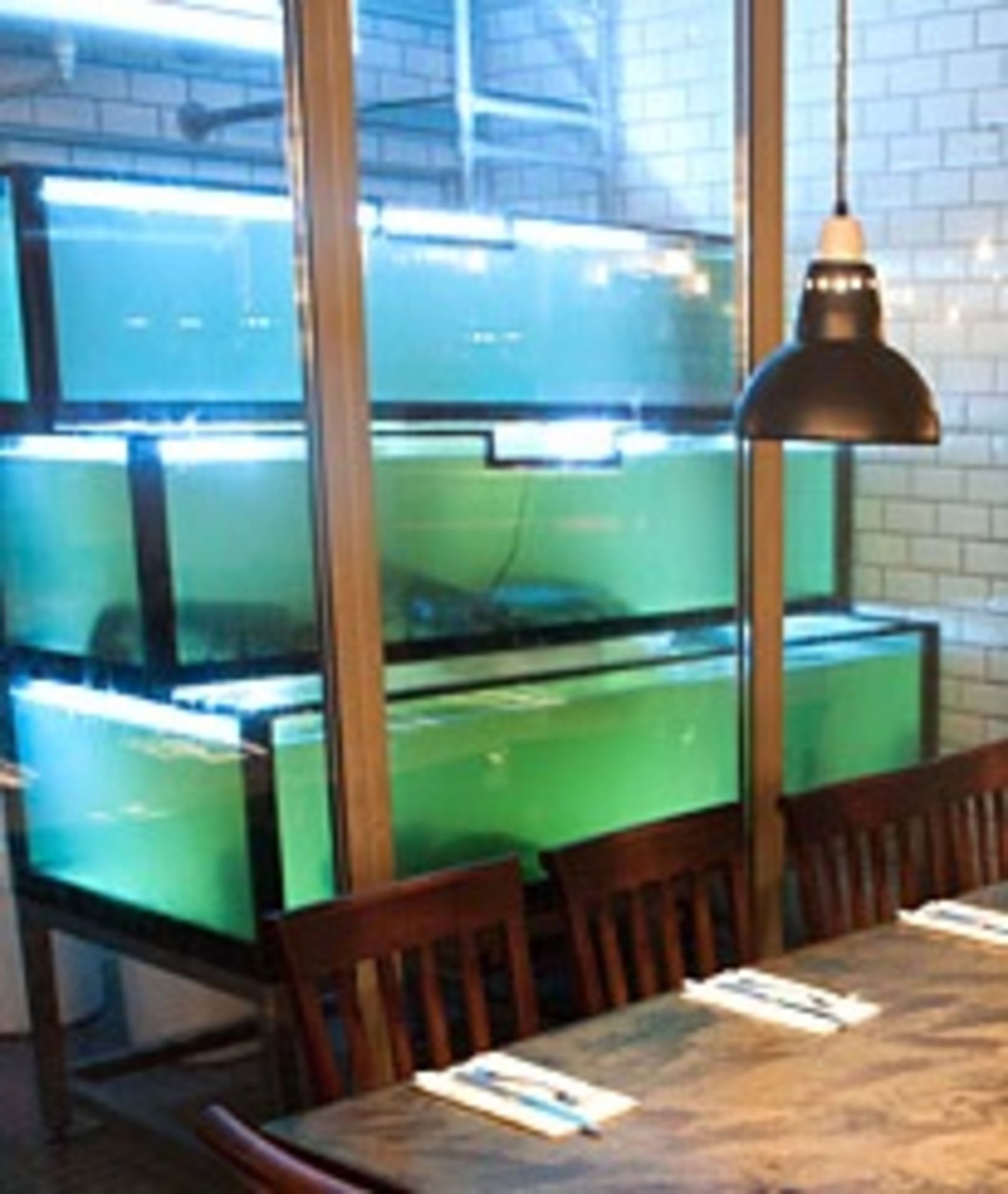 1 x Custom Made 3 Tier Fish Tank - Large Capacity Tank Previously Used For Lobsters by an Upmarket