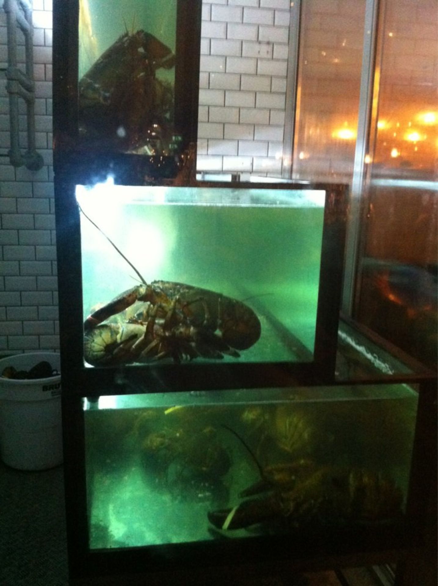 1 x Custom Made 3 Tier Fish Tank - Large Capacity Tank Previously Used For Lobsters by an Upmarket - Image 10 of 13
