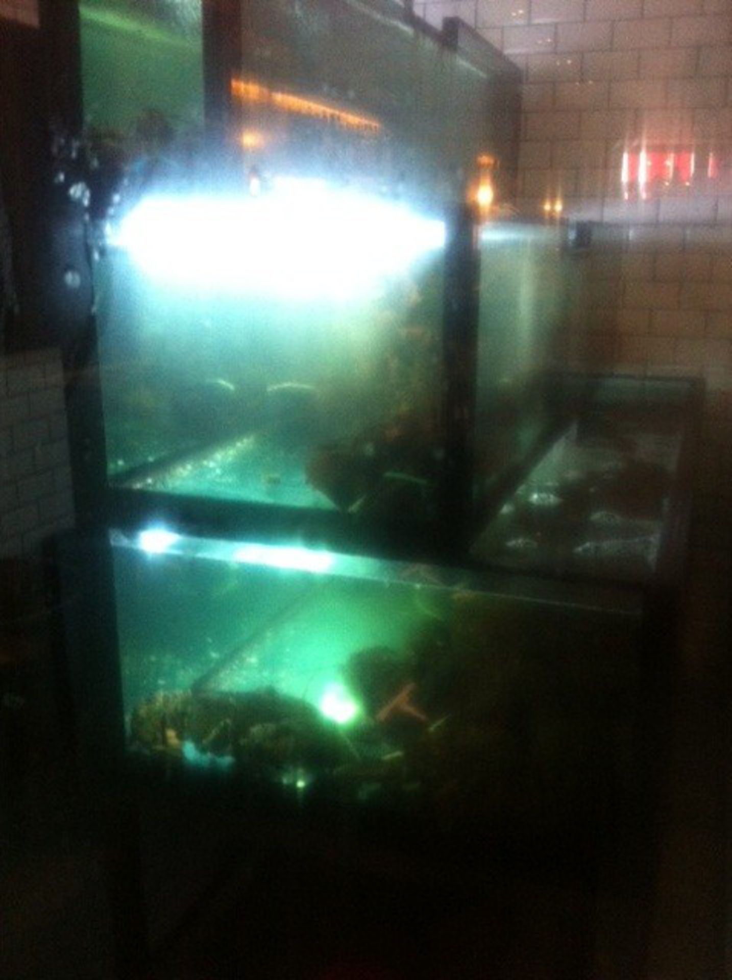 1 x Custom Made 3 Tier Fish Tank - Large Capacity Tank Previously Used For Lobsters by an Upmarket - Image 5 of 13