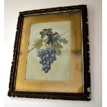 1 x Vintage Framed Painting Of Fruit On Canvas - From A Grade II Listed Hall In Good Condition -