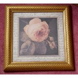 1 x Rose Framed Art Print - From A Grade II Listed Hall In Very Good Condition *More Pictures To