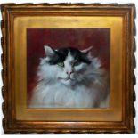 Gatto, olio su cartoncino cm. 28x28, Marino Lenci (Napoli 1874-1939)