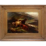 Paesaggio con animali al pascolo, Joseph Denovan ADAM (1842-1896), Inghilterra XIX secolo, cm.