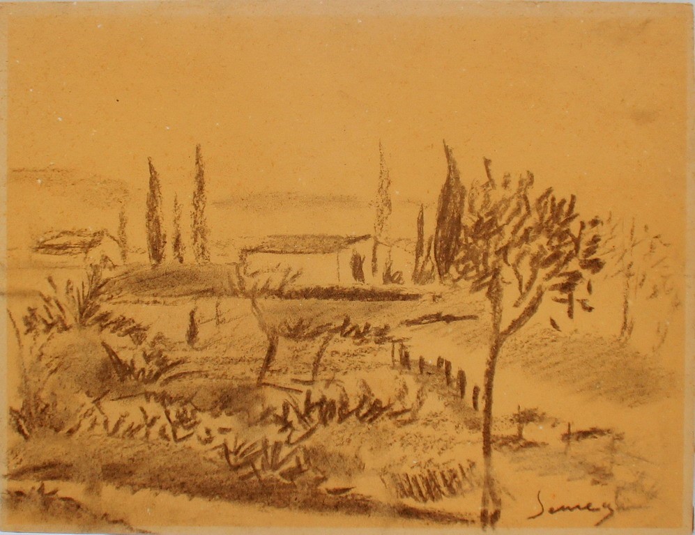 Paesaggio carboncino su cartoncino, artista del xx secolo, cm. 52x40