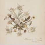 Botanik - - Flora Alpina. Herbarium. Mit ca. 112 getrockneten Blumen und Pflanzen. Schweiz, 1888. 41