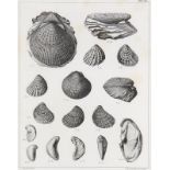 Paläontologie - - Pictet, de la Rive, Francois Jules. Description des mollusques fossiles qui se