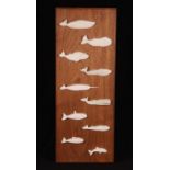 Chart in Bone and Teak Plaque of ten different whale types. 17" x 7"